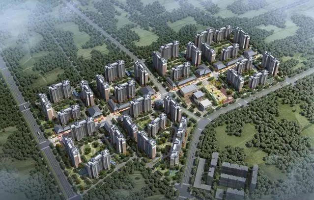 1636107507683057996.jpg 董家埂業(yè)績圖片1.jpg